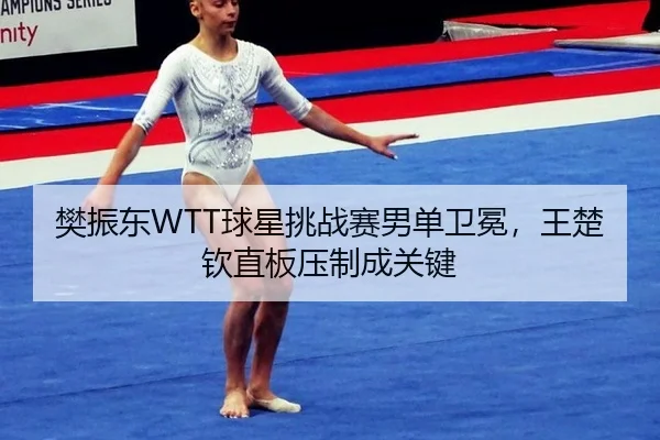 樊振东WTT球星挑战赛男单卫冕，王楚钦直板压制成关键