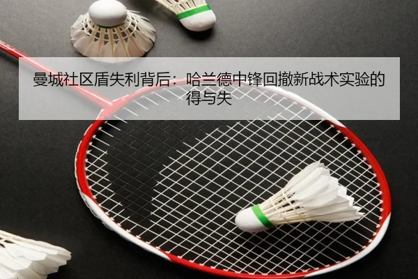 man-cheng-she-qu-dun-shi-li-bei-hou-ha-lan-de-zhong-feng-hui-che-xin-zhan-shu-shi-yan-de-de-yu-shi-2-922.jpg